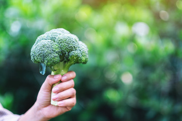 a woman holding a green broccoli in hands