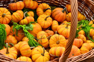 Decorative pumpkins and autumn leaves in a basket. Beautiful autumn still life.
