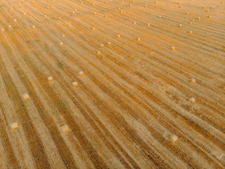 aerial view sunset field harvest autumn time