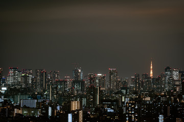 Fototapeta na wymiar Tokyo cityscape, Japan