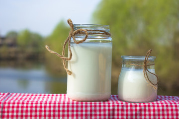 Greek yogurt with apple