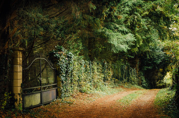 Un portail dans un chemin forestier. Une entrée de propriété dans les bois. Un portail sur une...