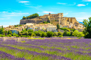 Lavender fields at village Gordes, a small medieval town in Provence, Travel destination in France.