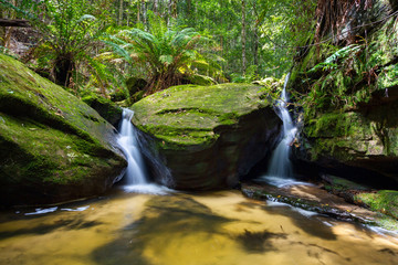 Lush green foliage and twin waterfalls