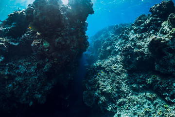 Naklejka na ściany i meble Underwater view with rocks and corals in transparent blue ocean. Underwater landscape