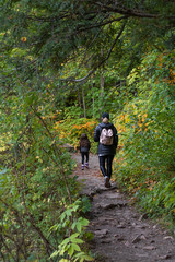 Mother and child walking in forest in autumn in park, Seen from behind, telephoto lens. Gatineau Park, Quebec, Ontario.