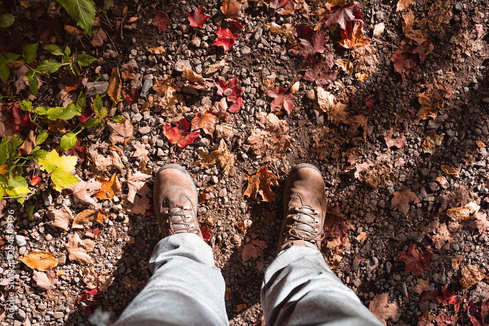 Wall mural man standing on earth with lots of orange maple leaves in the beginning of autumn in canada.