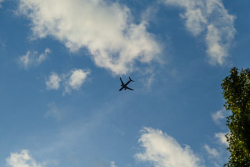 Samolot na niebieskim niebie - obrazy, fototapety, plakaty