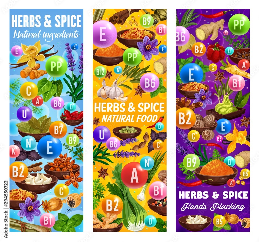 Wall mural Vitamins in spices and herbs. Food seasonings