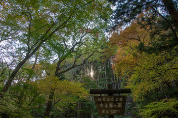 竜化の滝