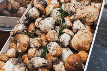 Porcini mushrooms.