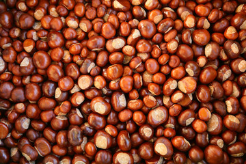 Chestnuts are a symbol of autumn and food for wild animals