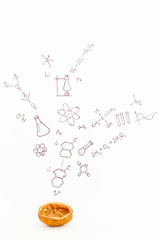 Concept of the phrase chemistry in a nutshell. Chemical formulas and symbols drawn on white paper with walnuts
