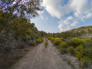 landscape of the Rambla de Hirmes area in Beninar (Spain)
