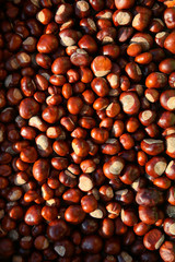 Chestnuts are a symbol of autumn and food for wild animals