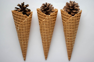 Pine cones in a waffle cone on white background