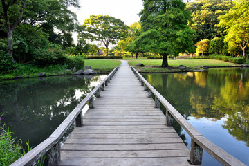 公園の池と樹木と木橋