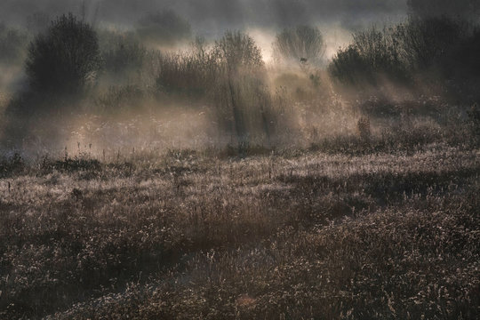 Beautiful golden autumn morning foggy sunny field