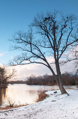 Onuma Koen Quasi -National park in peaceful cold winter with snow. Hakodate, Hokkaido - Japan