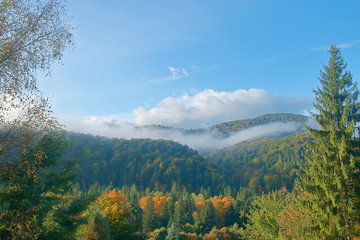 Sunny morning in the mountains covered by autumn forest.