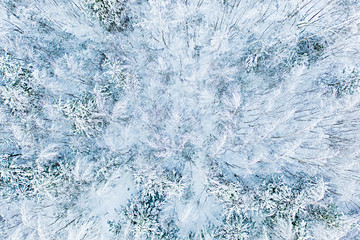 Fototapeta premium Mixed forest after heavy blizzard, aerial landscape. Snow fall concept. Rural scenery
