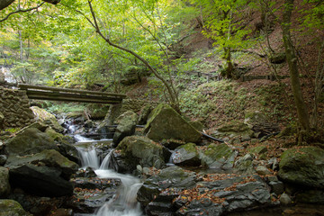 Obraz premium 竜化の滝