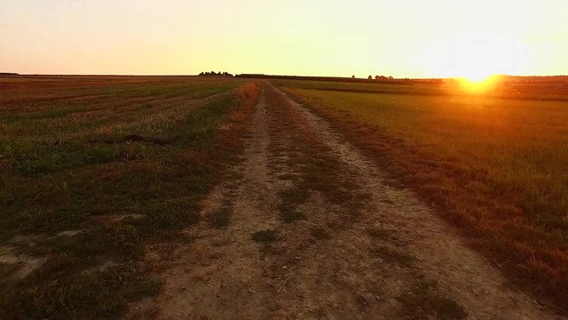 Feldweg im Sommer 04