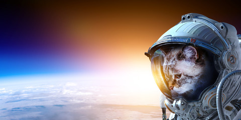 First trip to space. Mixed media