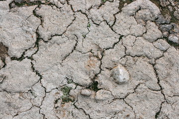 Natural background of cracked mixture of earth, clay and sand on the shore of the lake.