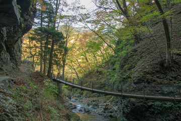 竜化の滝