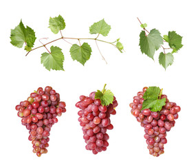 Set of fresh juicy grapes and leaves on white background