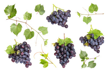 Set of fresh juicy grapes and leaves on white background