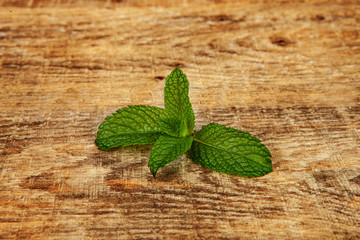 simple mint leaf shot on wood background. Simple mint leaf on white background