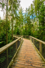 Treetop walk in Black Forest with 40m high Lookout tower located at Sommerberg, Bad Wildbad - Travel destination in Germany