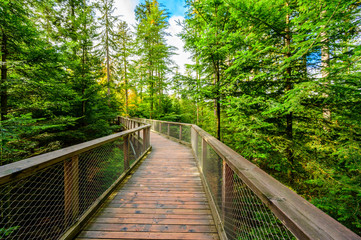 Treetop walk in Black Forest with 40m high Lookout tower located at Sommerberg, Bad Wildbad - Travel destination in Germany