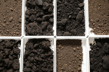 Containers with soil samples, top view. Laboratory research