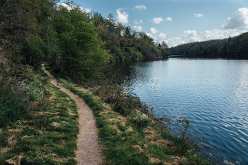 Fototapeta na wymiar chemin dans la forêt au bord d'un lac