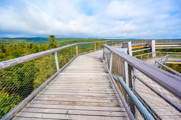 Fototapeta premium Treetop walk in Black Forest with 40m high Lookout tower with observation deck with beautiful view located at Sommerberg, Bad Wildbad - Travel destination in Germany