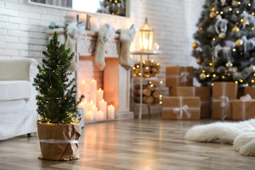 Potted Christmas tree with fairy lights in stylish room interior