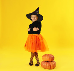 Cute little girl with pumpkins wearing Halloween costume on yellow background. Space for text