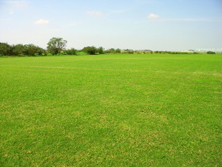 秋のサッカー場のある江戸川河川敷風景