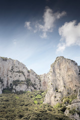 Fototapeta na wymiar mountain top in capri