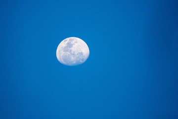 Naklejka na ściany i meble Blue hour with nearly full moon