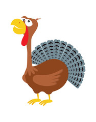 cartoon funny turkey
