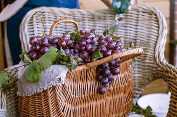 Fototapeta na wymiar Grapes In A Basket . In a country house. Collection of selected grapes for homemade wine. Ecological products