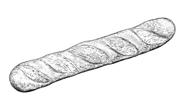 Baguette - drawing of bakery products - hand sketch of bread. 