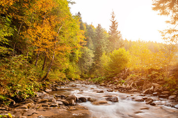 Mountain river in the fall at sunset. Beautiful autumn landscape.