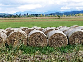 Strohballen