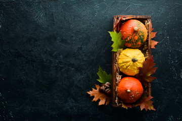 Fresh colored pumpkins in a wooden box. Autumn vegetables. flat lay. In the old background. Top view. Free space for your text.