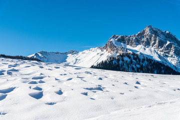 Follow the waves. Winter in Sauris. Italy